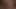 My favorite futanari sex