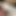 Private Shoot Service Focus. a Voluptuous Rear and Intense Attention Devoted to One Purpose