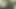 Thot in Texas - Black Ebony BBW On Top Getting Black Dick