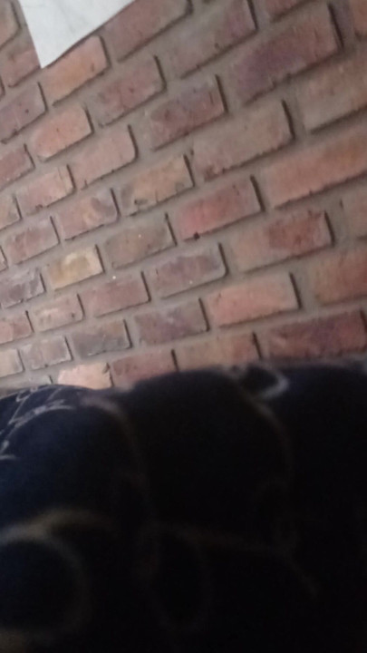 first time anal sex lots of cum and toys