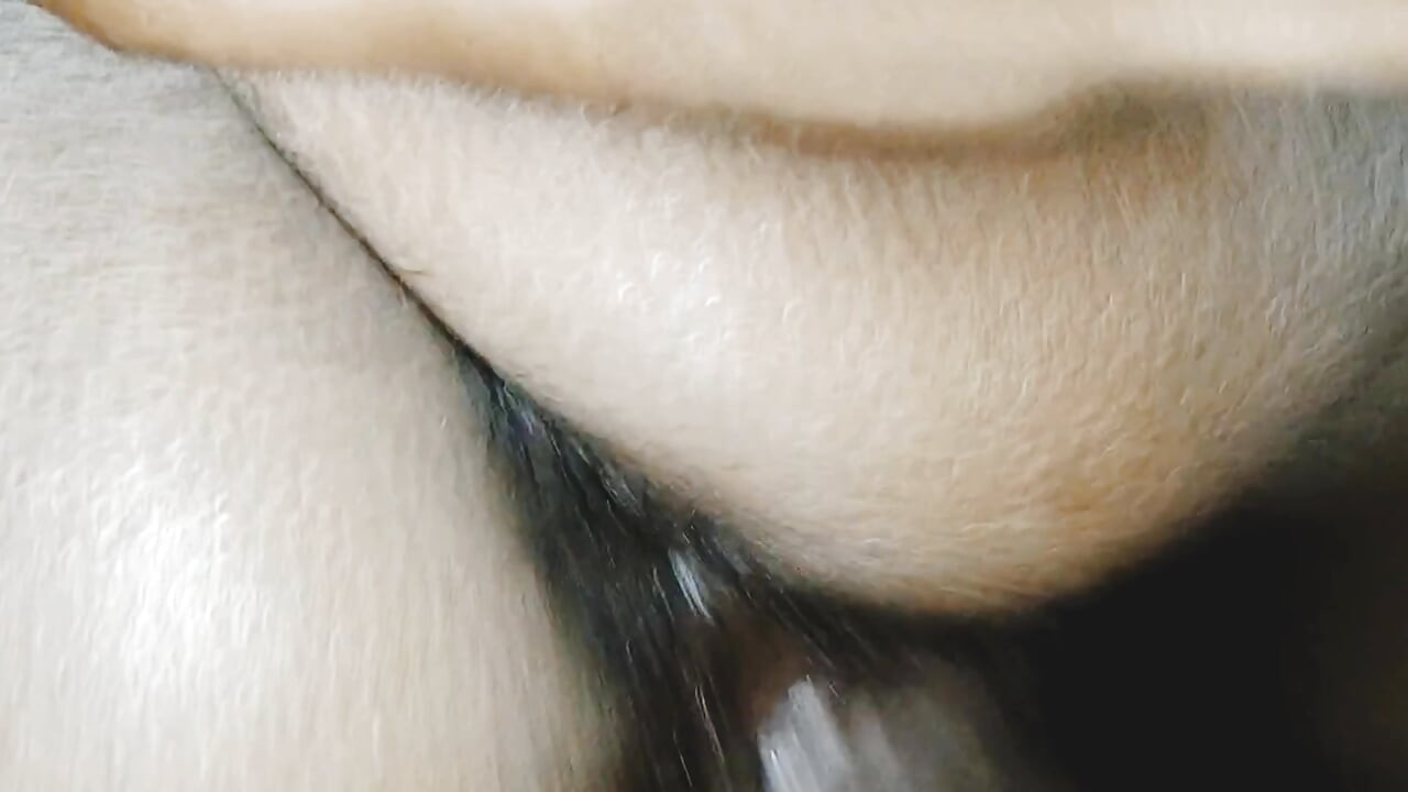 דודה הודית דסי בסגנון כלבלב