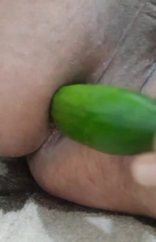 Turk gay cucunber