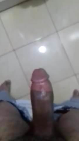 My Cock April2017