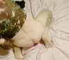 Pregled videozapisa
