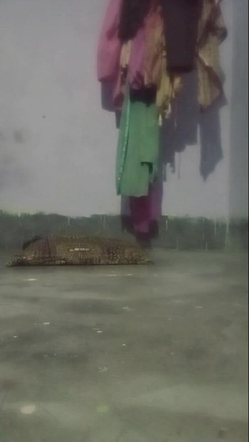 محلية منزلية رومانسية رومانسية | مقطع 1