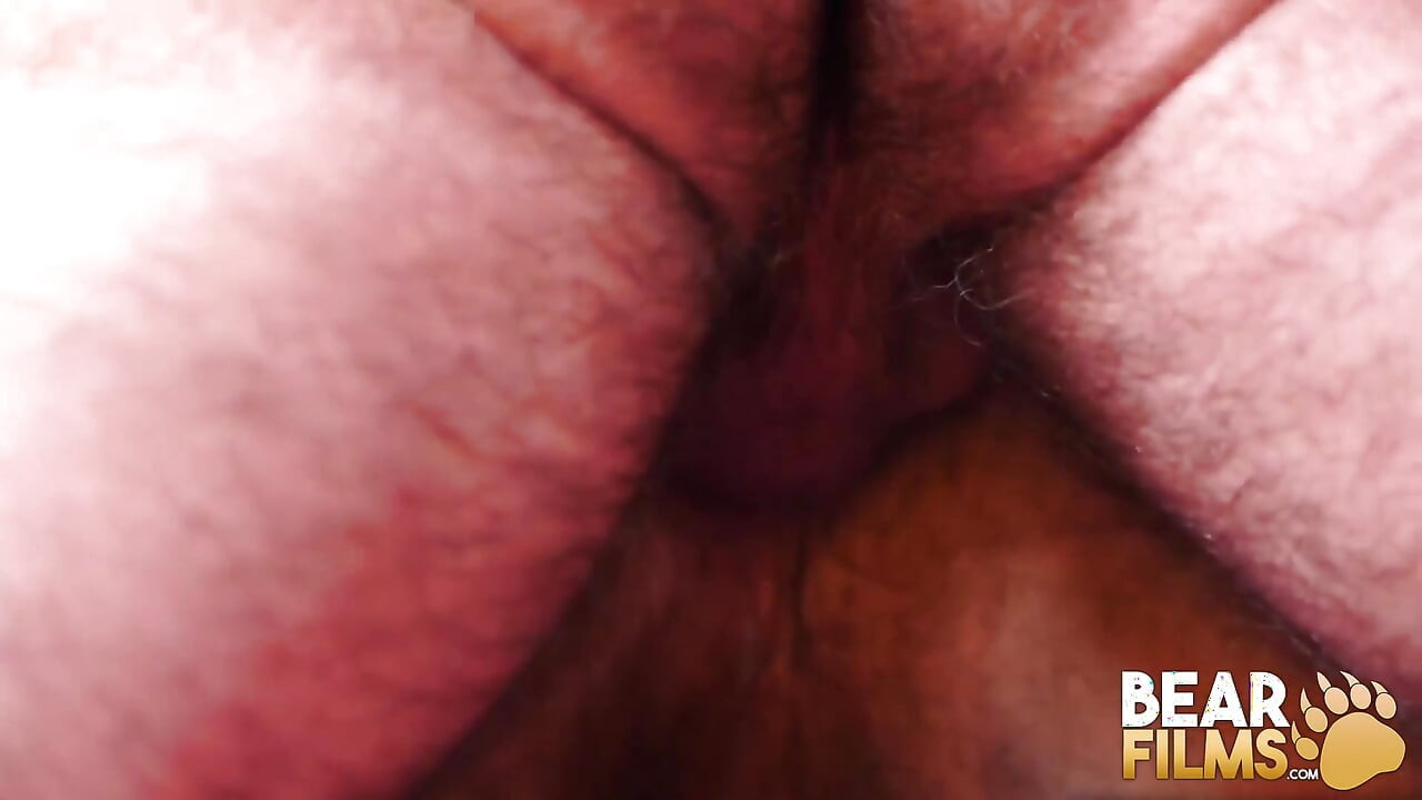 Bear Films obese hairy bears raw breed in compilation