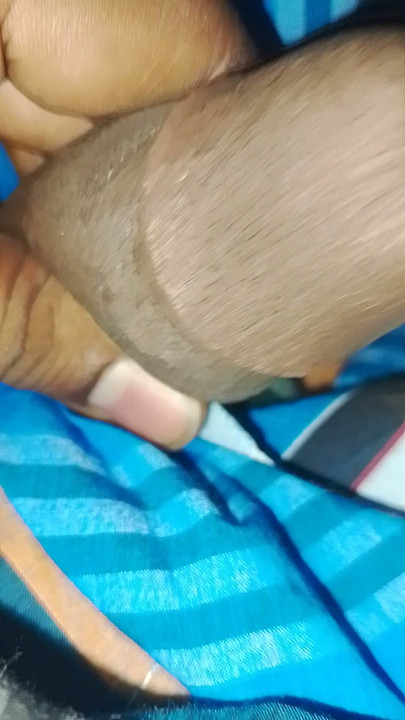 Cute mini panis show