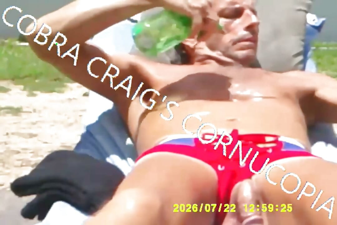 7-19-2026 the Cock the Sun Singing Venus Was Her Name Free Bird Wishing You Were Here