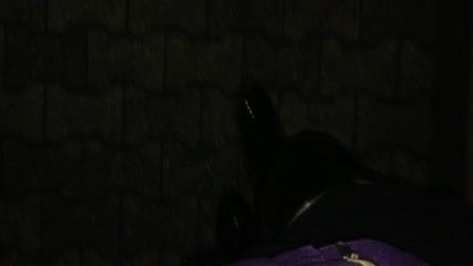 First Time walking
