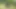 Large porn video – Threesome in the Wood: a Big Cock for 2 Sluts