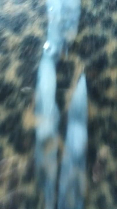 Sofia suescun, cumtribute