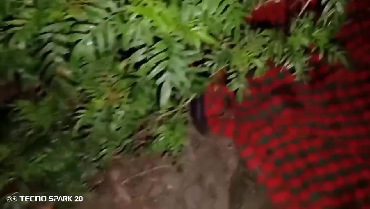 Singur în casă cu My Crush - ce s-a întâmplat în continuare vă va surprinde