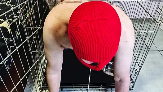 Dominatrix Nika allows the slave to crawl out of the cage so that he kisses, licks her feet, sucks her toes.