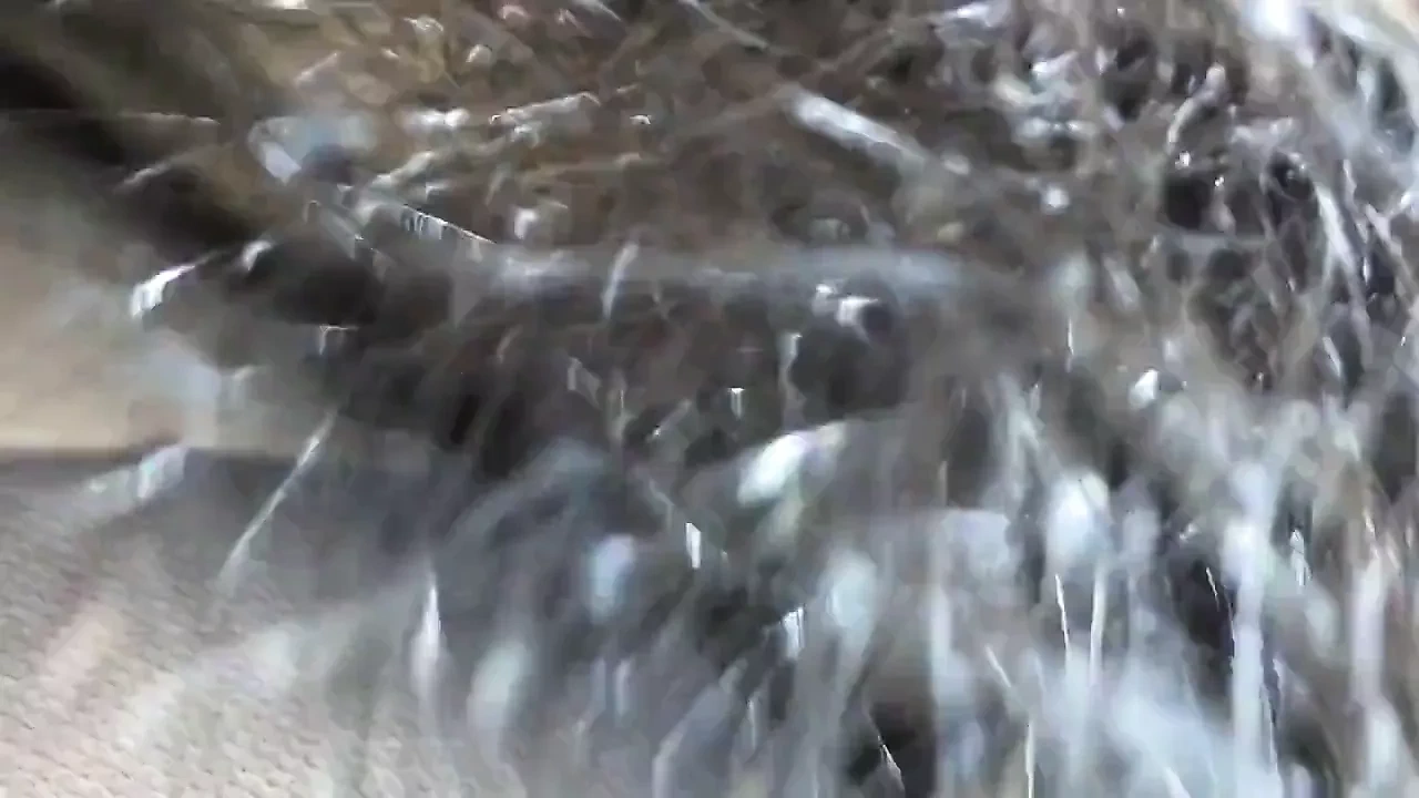 Korean Civilian Plz, Tear My Stockings