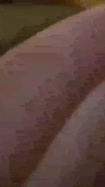 3d romantic sex video | Clip 1