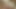 Boy masturbating hard