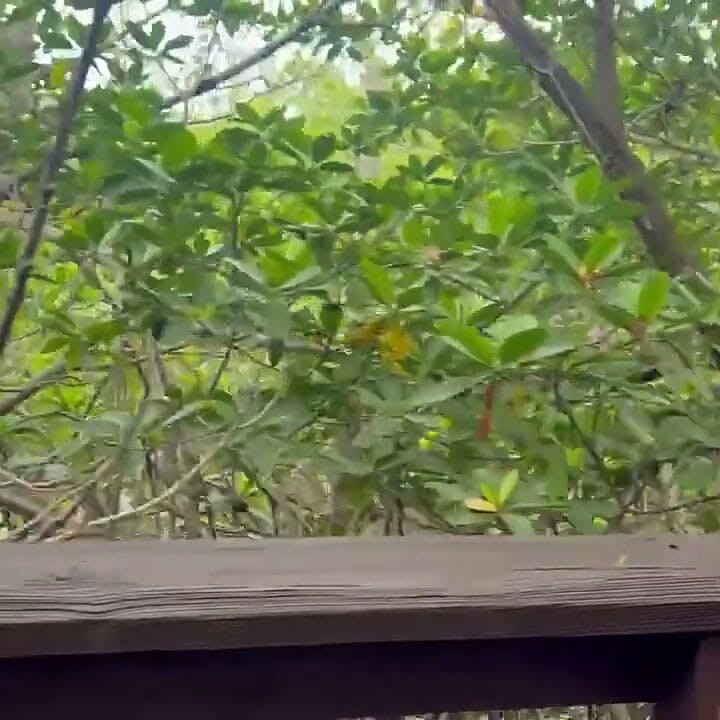 Unexpected Encounters