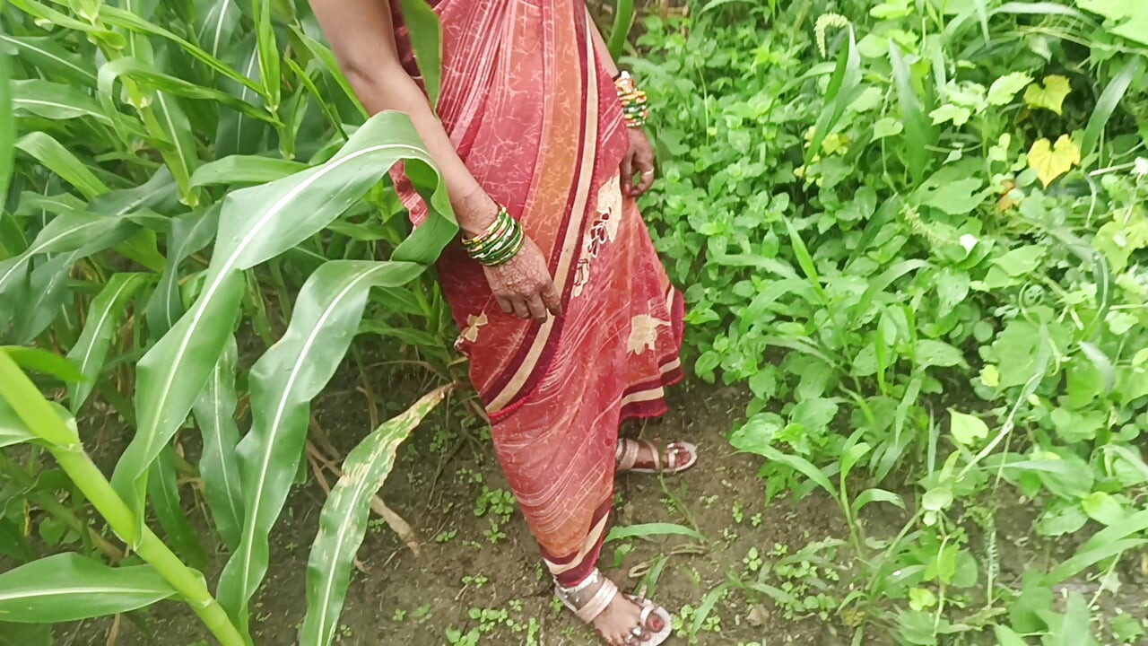 Sister-in-law called me to the field of maize today and sister-in-law sucked my cock and removed the water, then I picked up sister-in-law's two legs and fucked my sister-in-law loudly.