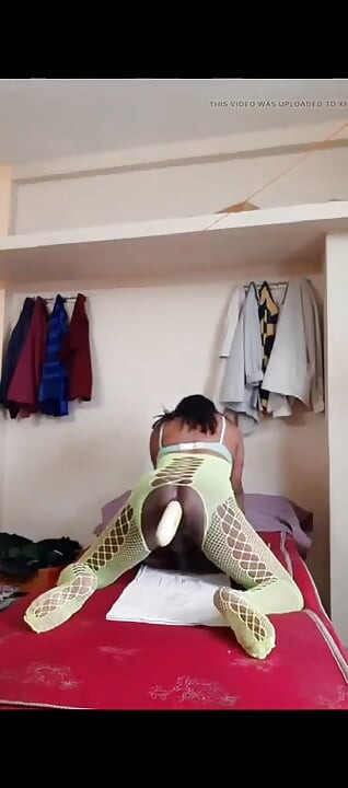 網に引っかかった