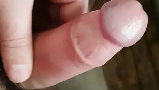 毛茸茸的未割包皮的鸡巴