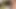 Hot Asian Chick Gives Head & Gets a Huge Load on her Face