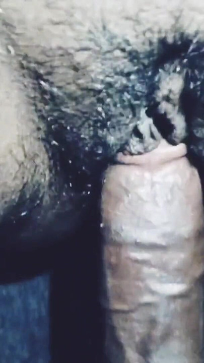 Memorable moment from "hot bhabi sexs - sexsy bhai- newly marid bhabi sex - coupl sexs - ht gril sexs"
