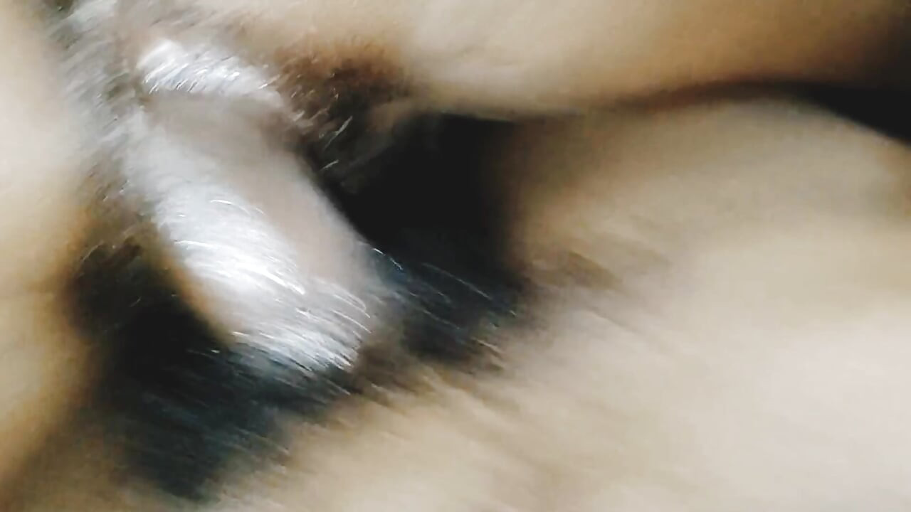 Indyjski desi ciocia pieska