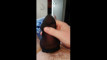 Pregled videozapisa