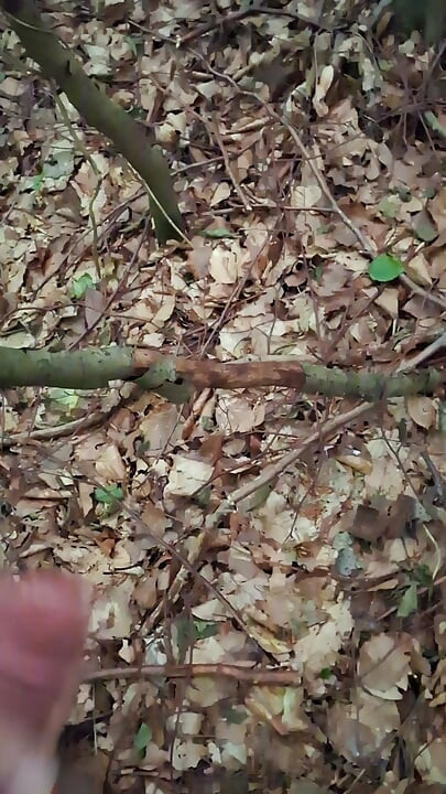 Pressure released in the forest