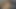 Kentucky yetiştirilen charlee kovalamaca klitoris losyonları ve kıçını tıkar!