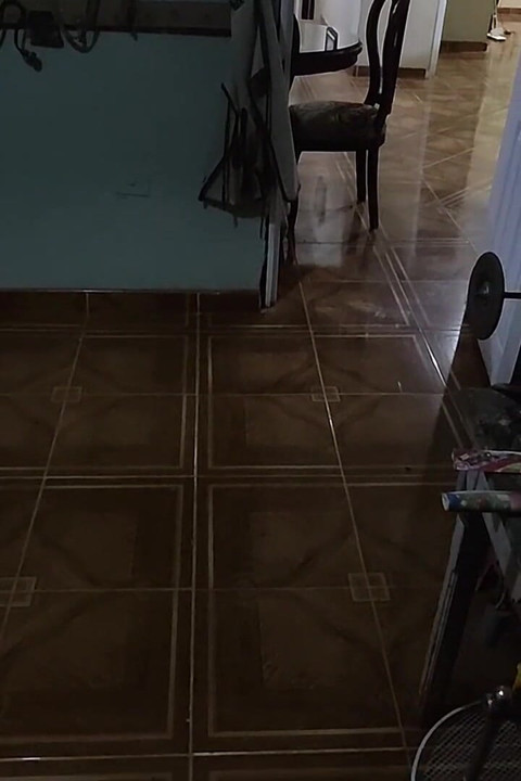 My Cousin-in-law Can't Be Seen Working Because She Wants to Fuck.