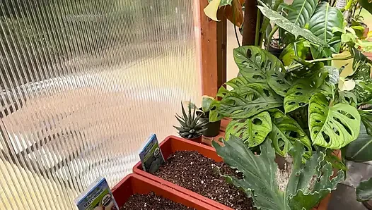 Spring Greenhouse Tour