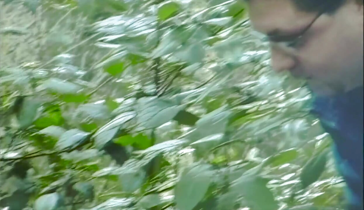 Anal Orgy in the Woods