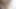 Scarlett le encanta el sexo