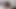 Cat Cutie Kimber Lee Wants A Load Of Jizz On Her Masked Face