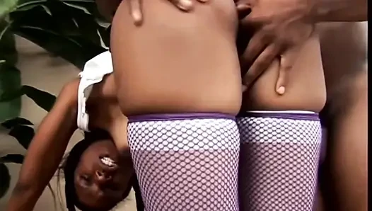 Hard and Long Fucks Between Beautiful Black Panthers and Big Black Cocks