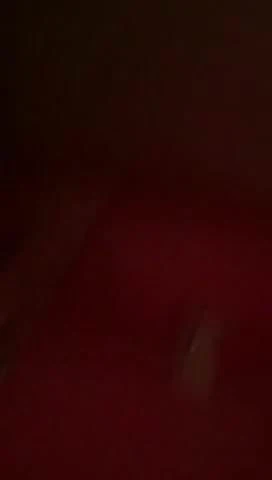 Ottima montata xx