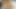 Dünner thailändischer Tramp mit Zahnspange bettelt um meinen Samen