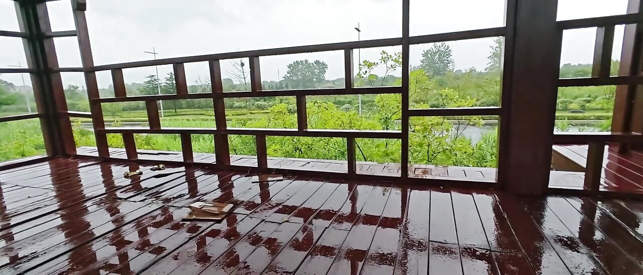 Mergând goală în ploaie, masturbându-se public într-un pavilion de lângă marginea drumului