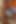 Wow! Üvey babam pazara giderken üvey erkek kardeşimle sikiştim - İspanyolca porno