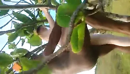 Белый муженек снимает на видео, как жену трахают на дереве