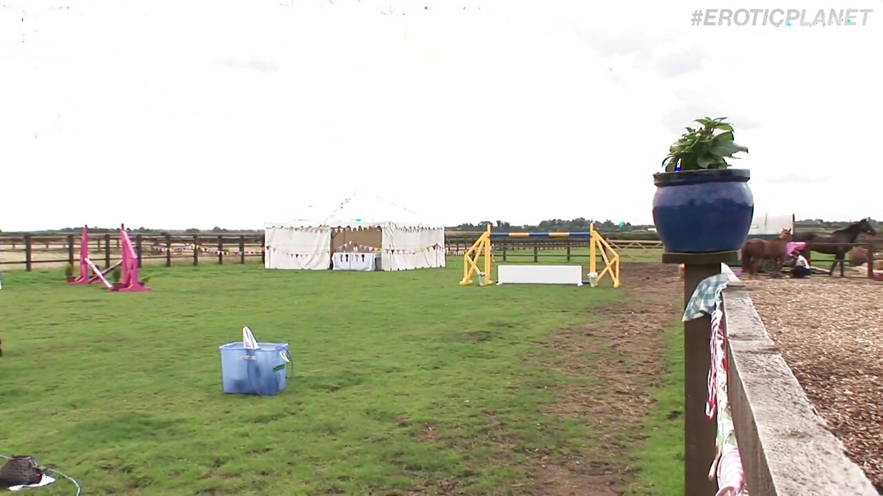 Petrecere sexuală englisch