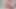 Latest live sex show on Stripchat, Gigi and Dave, shemale and man couple, POV, behind the scene, webcam sex, 28.03.2025 ep5