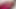 ファンタジーのために、夫は妻を縛り、彼女と非常にロマンチックなハードコアセックスをしました