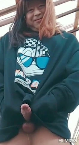 pantyhouse penis11