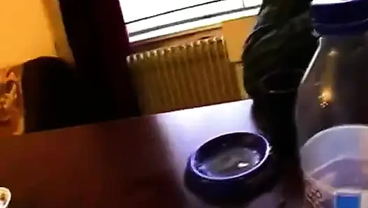 Niederländische fantasien: Niederländische fantasie teil 1