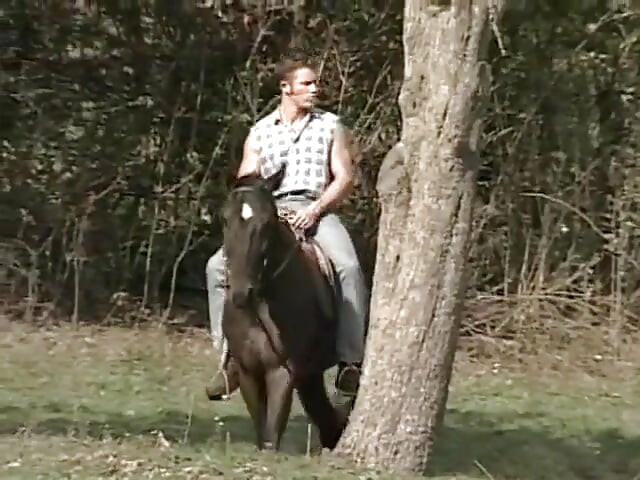 Falcon Crest 1