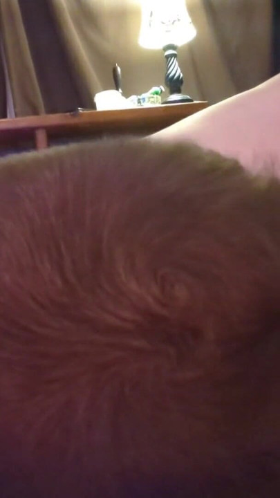 Memorable moment from "BBW In Thong Panties Wants Her Hairy Pussy & Ass Worshiped JOI"