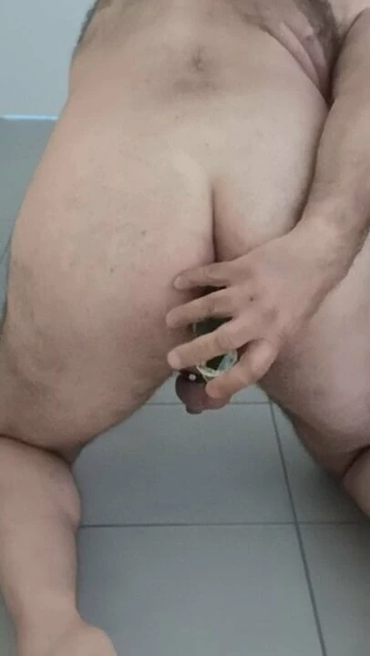 Petslave 1
