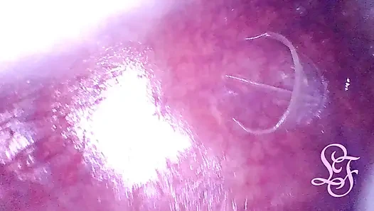 Look deep inside my ass!